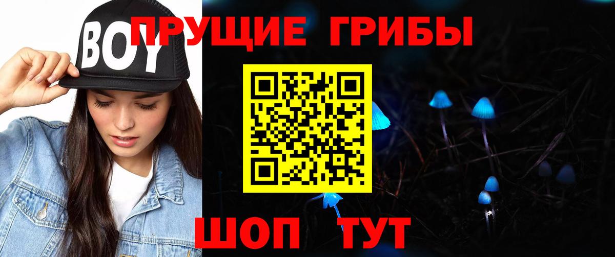 Псилоцибиновые грибы Psilocybine cubensis Калач-на-Дону