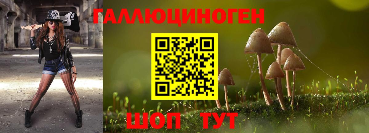Калач-на-Дону  Псилоцибиновые грибы Psilocybine cubensis  Галлюциногенные грибы Psilocybe  Вход с VPN 